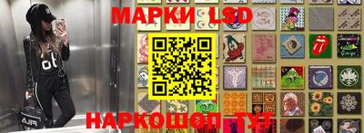 крисы Донской