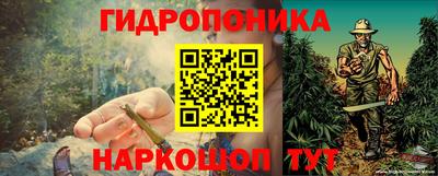крисы Донской