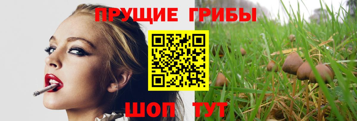 Шелехов  Псилоцибиновые грибы ЛСД  Вход с VPN 